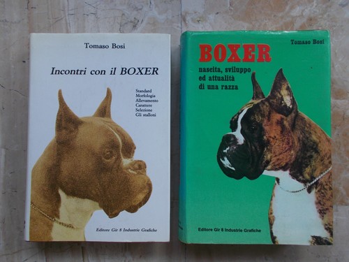 Tommaso bosi incontri con - incontri, il