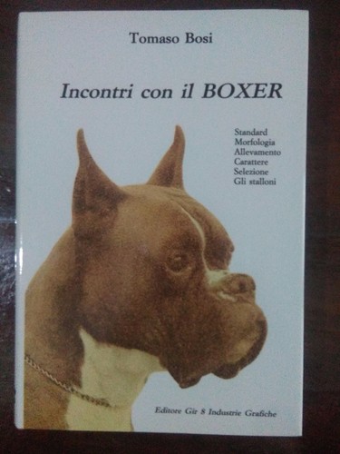Incontri con boxer - boxer, tomaso