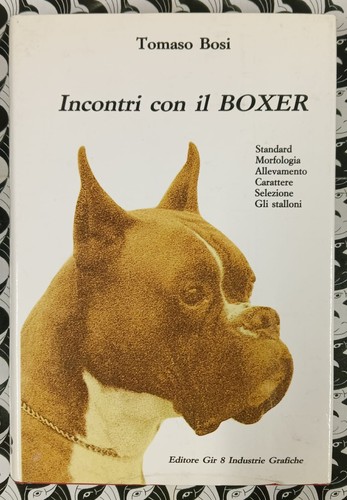 Incontri con boxer - il, tomaso