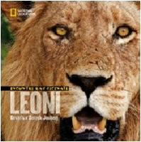 Incontri ravvicinati leoni - ravvicinati,