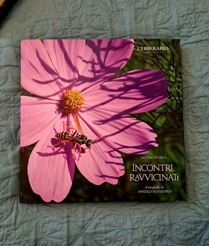 Libro incontri ravvicinati - incontri,